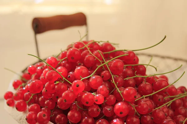 Red currants — Stock Photo, Image