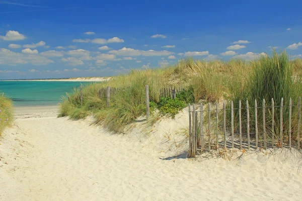 Spiaggia — Foto Stock