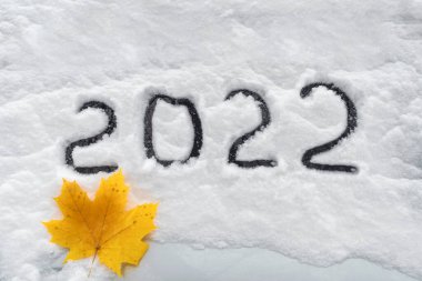 Yeni yağmış beyaz ve berrak karların üzerinde 2022 sayısı yazılı. Gelecek yılın tarihi. Yazıtın altında sarı kuru bir akçaağaç yaprağı yatıyor.
