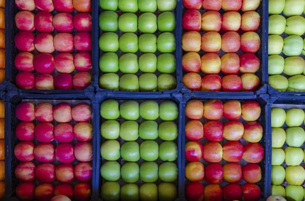 Large Groups Multi Colored Fruits Lie Counter Neat Rows Plastic — Stock Photo, Image