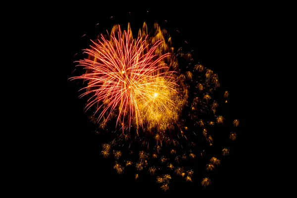 Bright Flowers Festive Fireworks Dark Background Night Sky — Stock Photo, Image