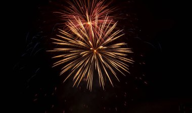 Gece gökyüzünün karanlık arka planında neşeli havai fişeklerin parlak çiçekleri