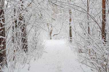Kış karlı ormanlarında bir sokak. Karla kaplı ağaçlar arasında insanların yürüdüğü bir yol..