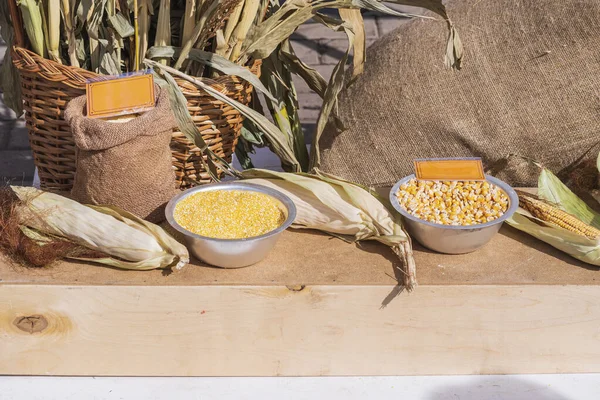 Exhibition of agricultural products. Still life - a trading counter with an ear and grains of corn and cornmeal, autumn fair