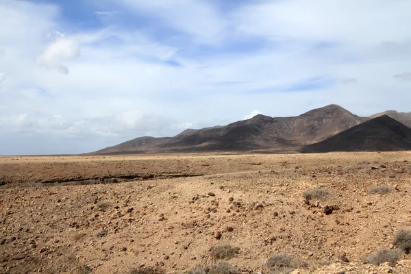 Desert landscape (Fuerteventura - Spain) — Stock Photo, Image