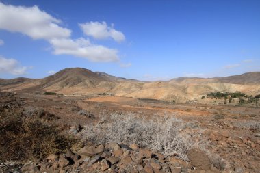 Tabiat Manzarası (fuerteventura - İspanya)