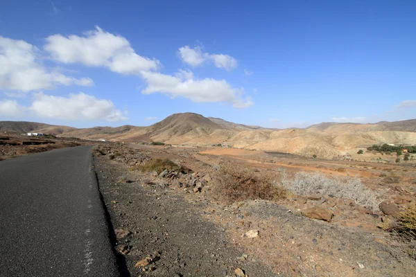 Sur la route (Fuerteventura - Espagne ) — Photo