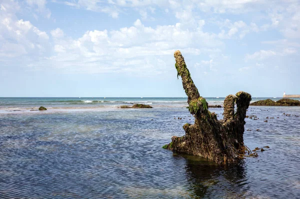 Mavna Enkazı Les Sables Olonne Sahilinde Vendee Fransa — Stok fotoğraf