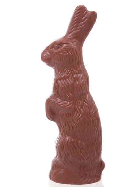 Çikolata Paskalya tavşanı beyaz zemin üzerine — Stok fotoğraf