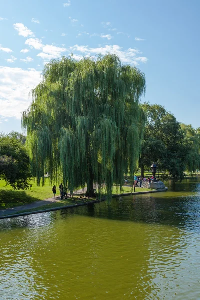 Vista do lago do parque comum em Boston — Fotografia de Stock