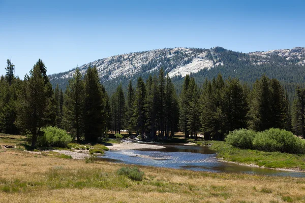 Yosemite nationalpark i Kalifornien — Stockfoto