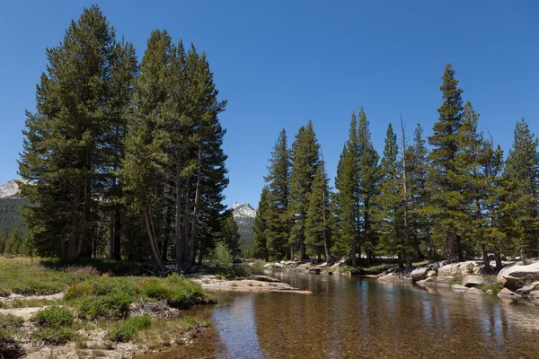 Národní park Yosemite v Kalifornii — Stock fotografie