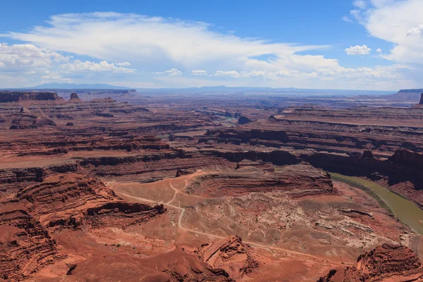 Widok martwych koni w utah — Zdjęcie stockowe