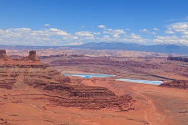 ölü atı görünümü Utah