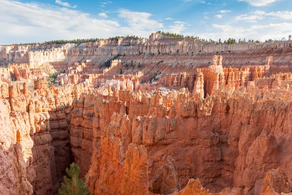 Bryce canyon national park in Utah — Stock Photo, Image