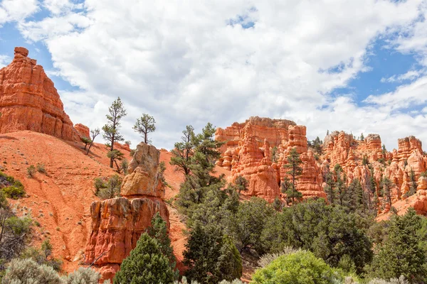 Park Narodowy Bryce Canyon w Utah — Zdjęcie stockowe