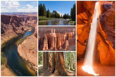 USA west coast national parks landscape collage clipart