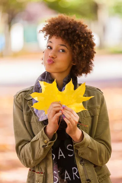 Outono ao ar livre retrato de bela afro-americana jovem woma — Fotografia de Stock