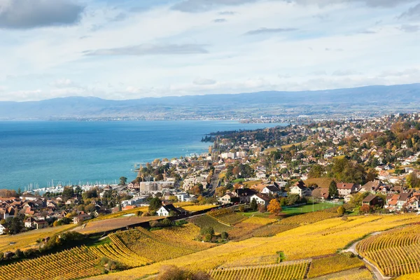 Wijngaarden in lavaux-gebied - terrasse de lavaux, Zwitserland — Stockfoto