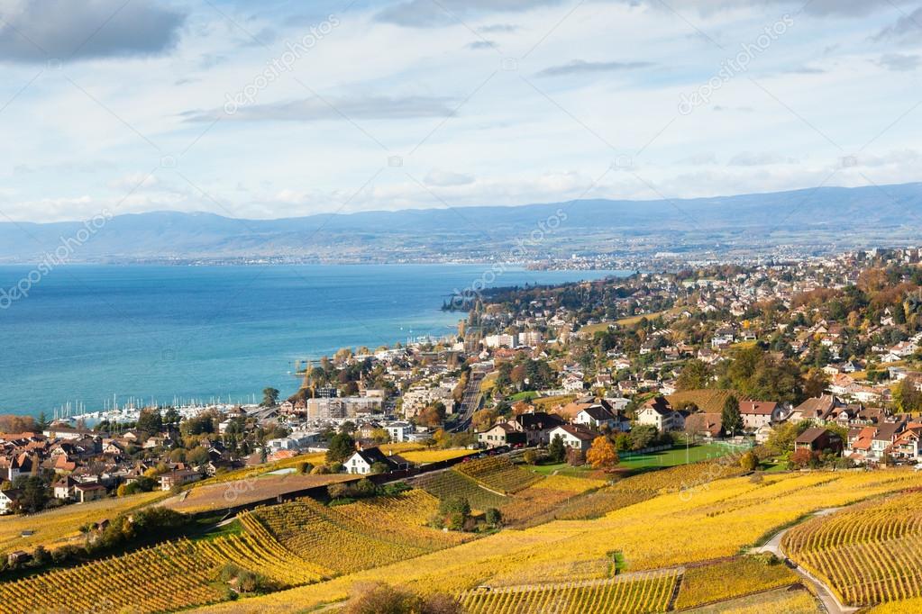 Vineyards in Lavaux region - Terrasse de Lavaux, Switzerland