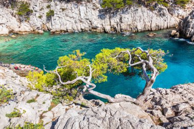 Calanques Marsilya ve france.jpg güneyinde de cassis yakınındaki