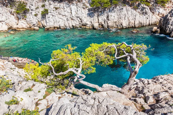 Calanques nära till marseille och cassis i söder om france.jpg — Stockfoto