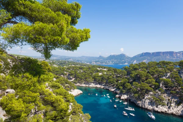 Calanques PIN portu v cassis — Stock fotografie