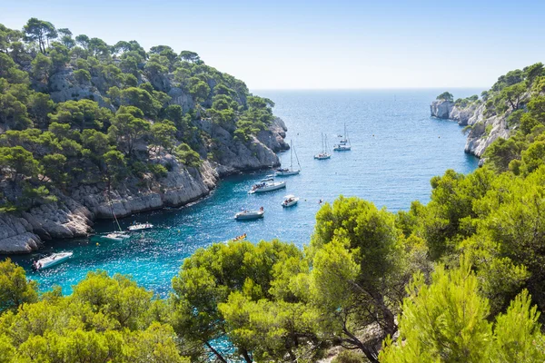 Calanques pin portu w cassis — Zdjęcie stockowe