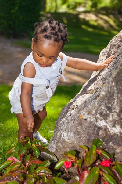 Lindo africano americano bebé chico — Foto de Stock