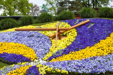 güzel ve renkli çiçekli saat Cenevre İsviçre - swis