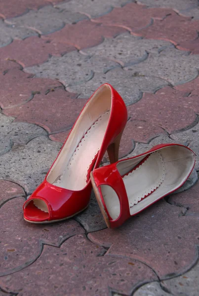 Kadın Ayakkabıları