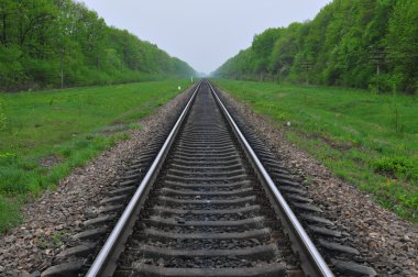 Demiryolu çevresinde yeşil yaprak