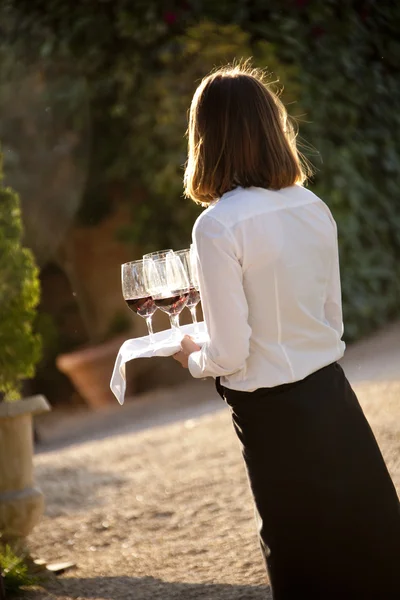 Catering — Stock Photo, Image