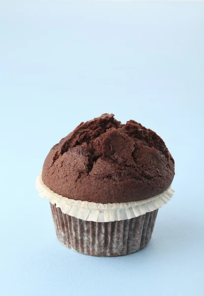 Chocolade muffin — Stockfoto