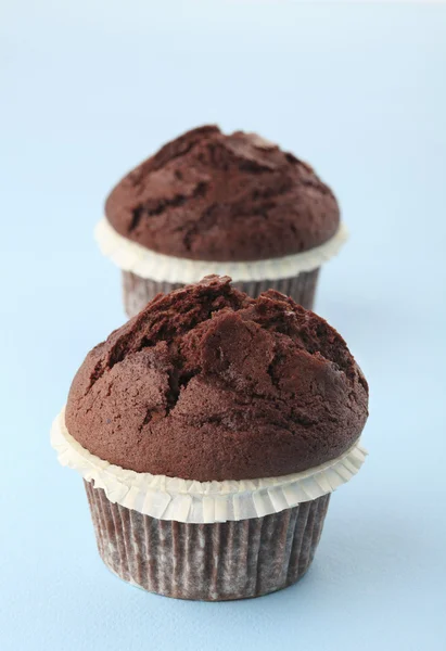 Chocolade muffins — Stockfoto