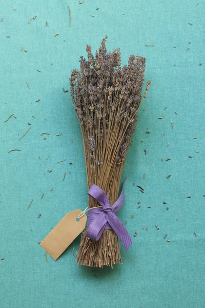 Gedroogde lavendel — Stockfoto