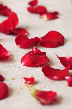 kırmızı gül yaprakları