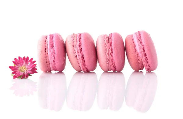 Macaroon — Stock Photo, Image