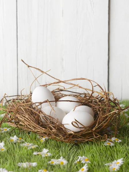 Primer plano de los huevos de Pascua en la mesa de madera blanca —  Fotos de Stock