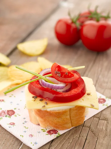 Canape with tomatoes and mozzarella — Stock Photo, Image