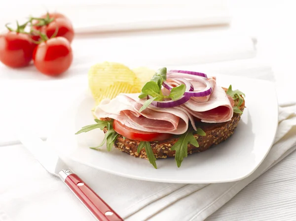 Turkiet och skinka sandwich med potatischips — Stockfoto