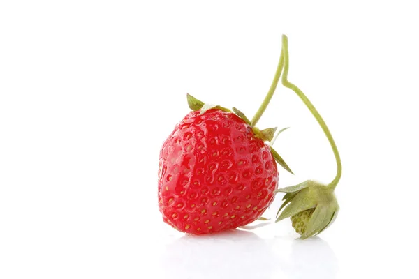 Strawberries — Stock Photo, Image