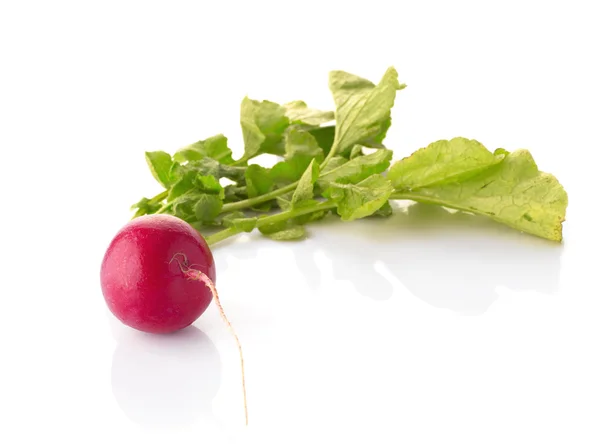 Bunch of fresh radish isolated on white — Stock Photo, Image