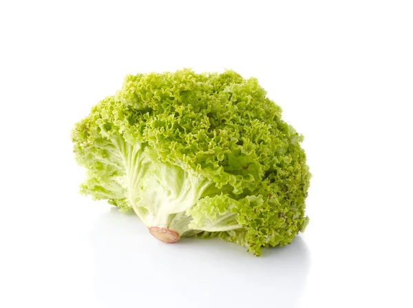 Lockerer Kopfsalat — Stockfoto