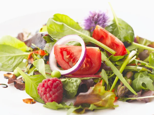 Fräsch sallad — Stockfoto