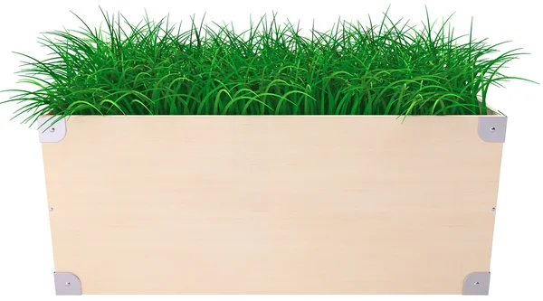 Зеленая трава в коробке — стоковое фото