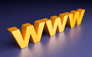 world wide web