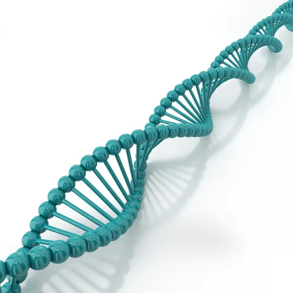 DNA 가닥 — 스톡 사진