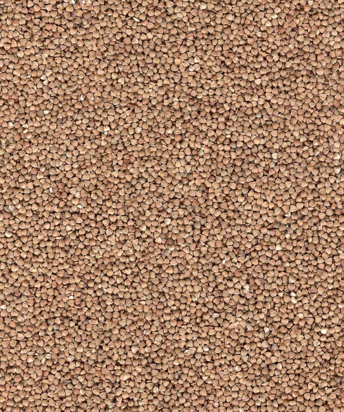 茶色の穀物 groats の背景 — ストック写真
