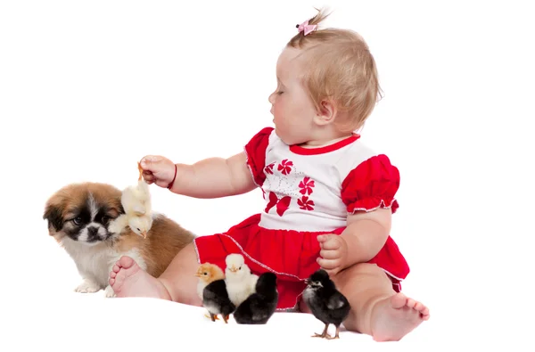 Bambino piccolo con un cane — Foto Stock